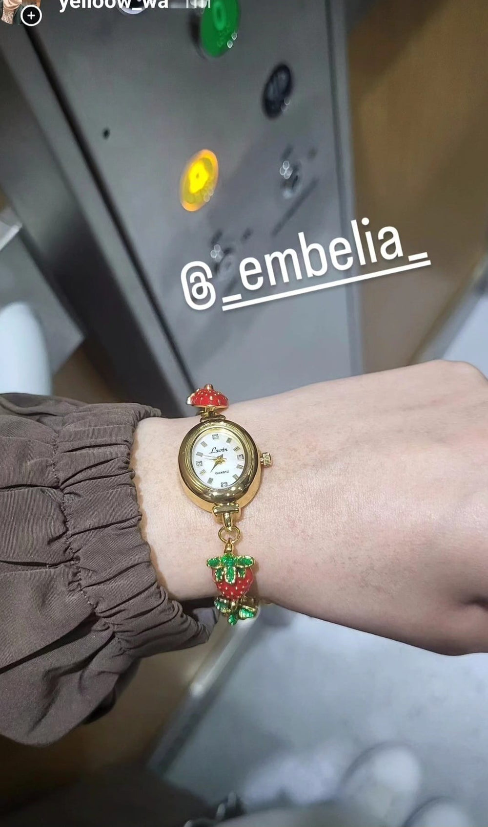 Embelia on Instagram